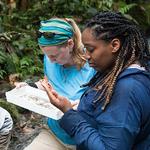 Sarah Orchard, Ecuador